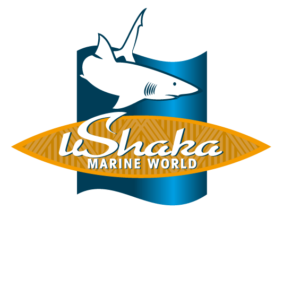 uShakaLogo_v2_fun_one_1x